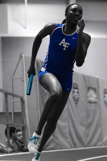 Introduction: Marque