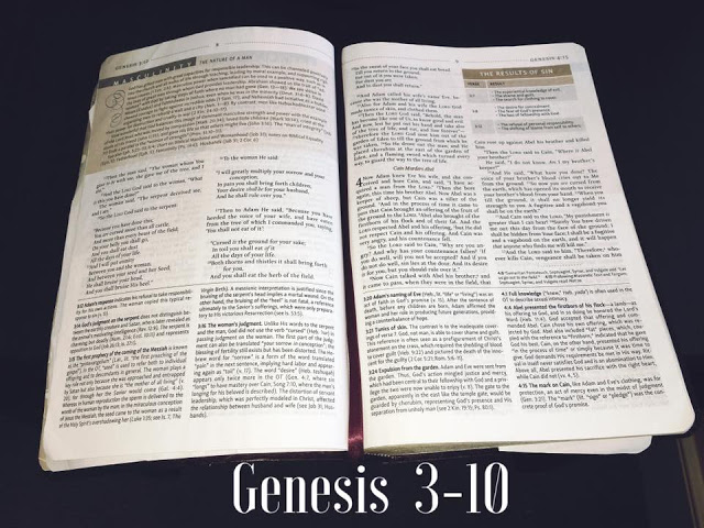 Devotional 2 – Genesis 3-10 True&nbsp;Freedom